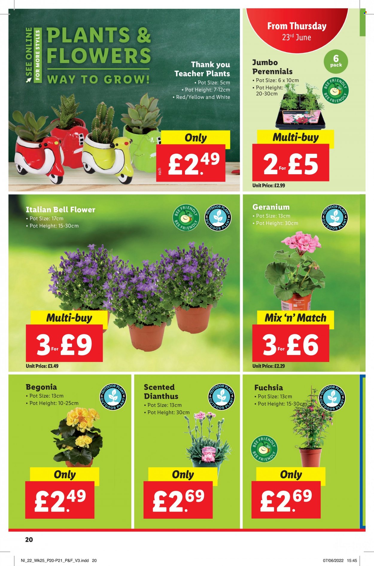 Lidl offer - 23/06/2022 - 29/06/2022. Page 20
