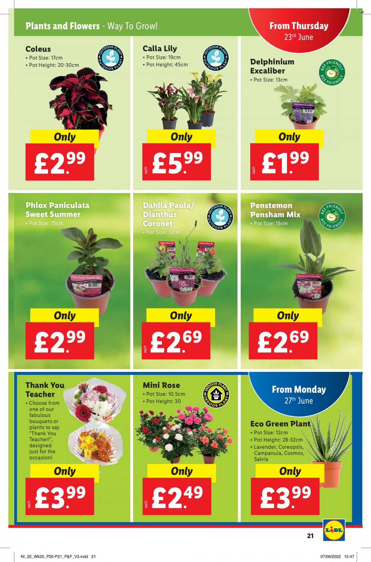 Lidl offer - 23/06/2022 - 29/06/2022. Page 21
