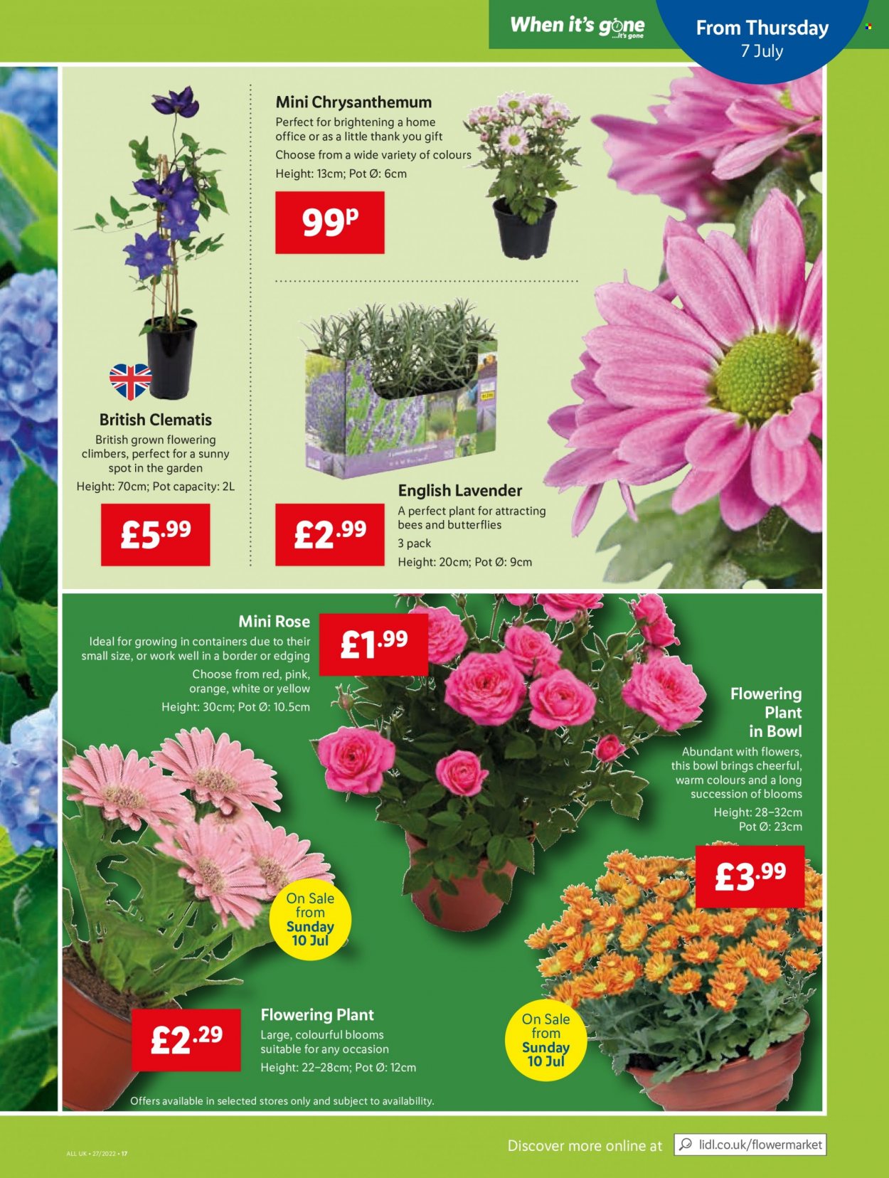 thumbnail - Lidl offer  - 07/07/2022 - 13/07/2022 - Sales products - wine, rosé wine, pot, bowl, rose. Page 19.