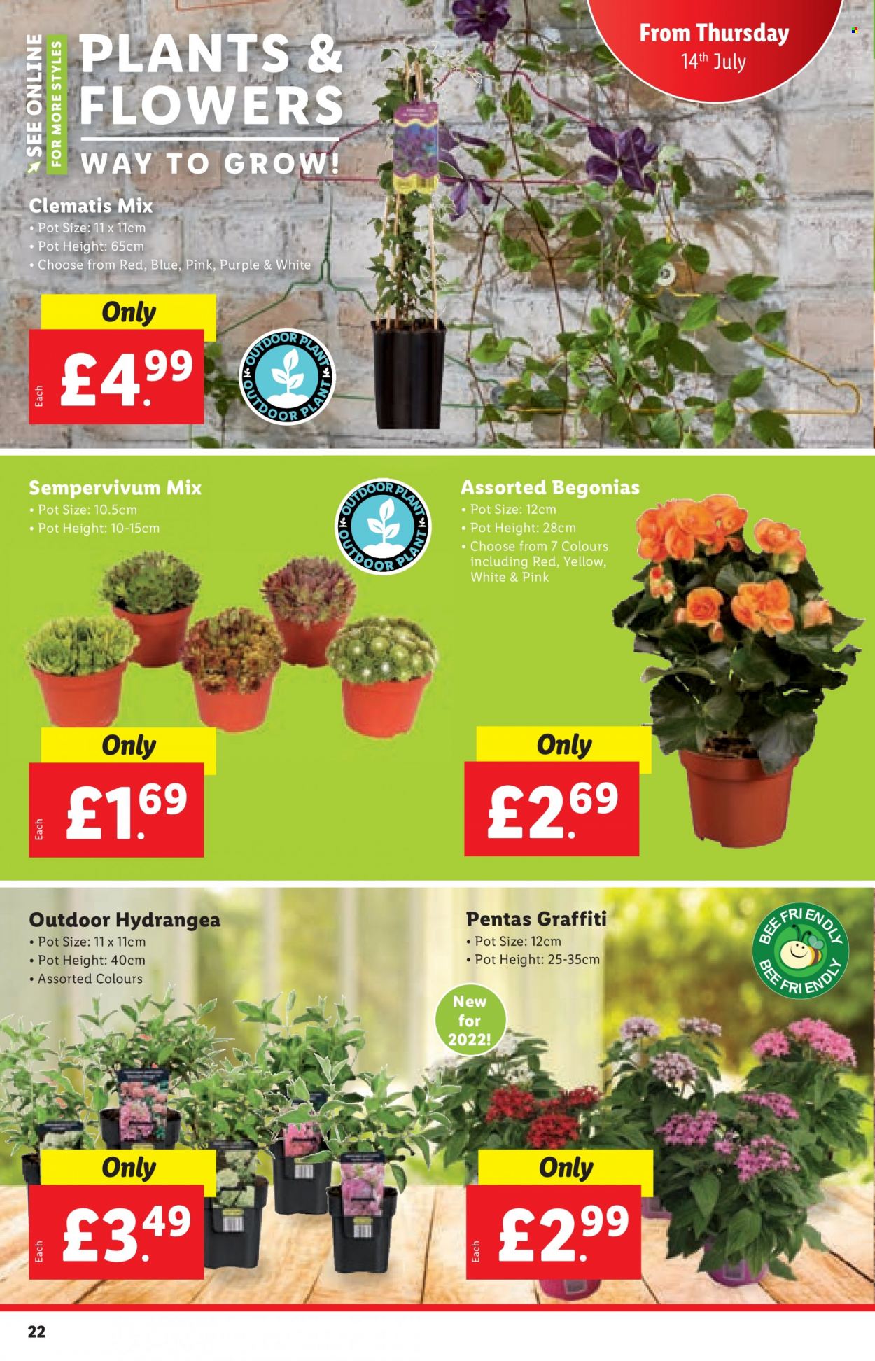 Lidl offer - 14/07/2022 - 20/07/2022. Page 22