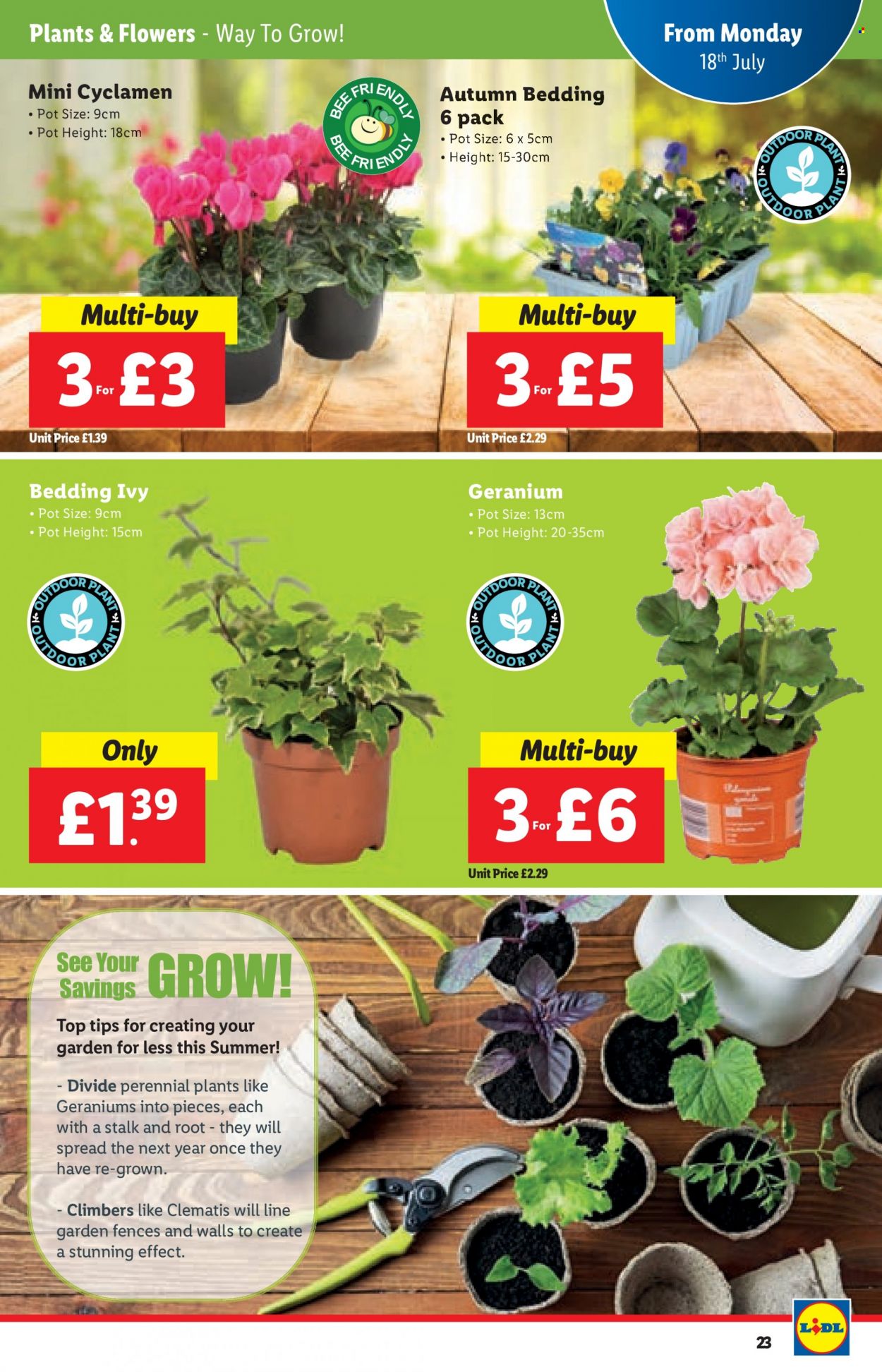 Lidl offer - 14/07/2022 - 20/07/2022. Page 23