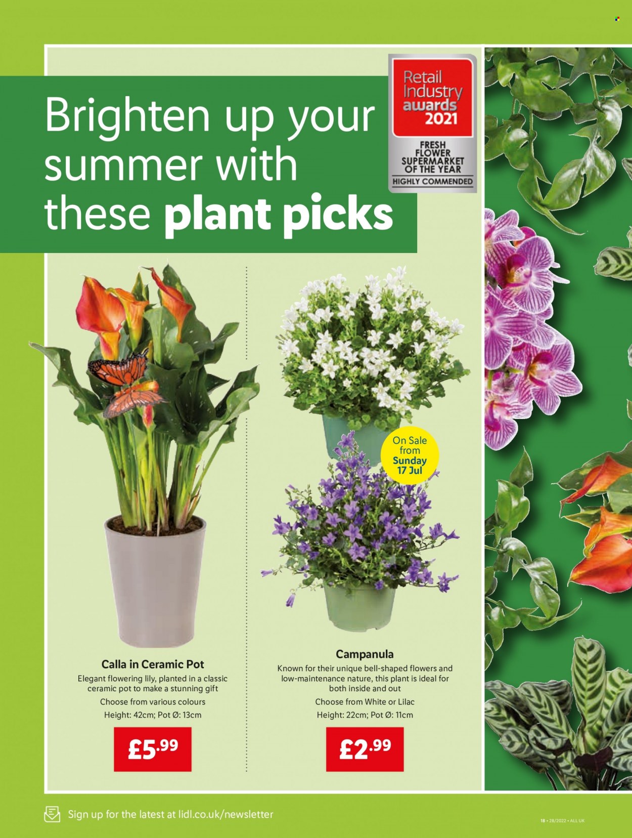 Lidl offer - 14/07/2022 - 20/07/2022. Page 20