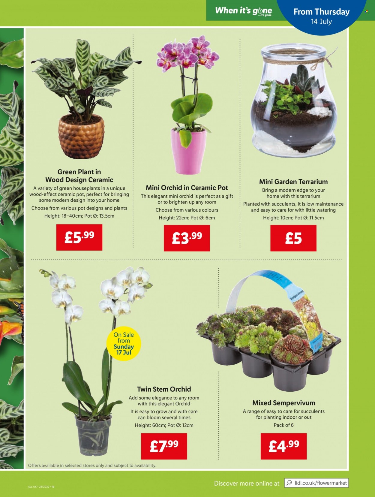 Lidl offer - 14/07/2022 - 20/07/2022. Page 19