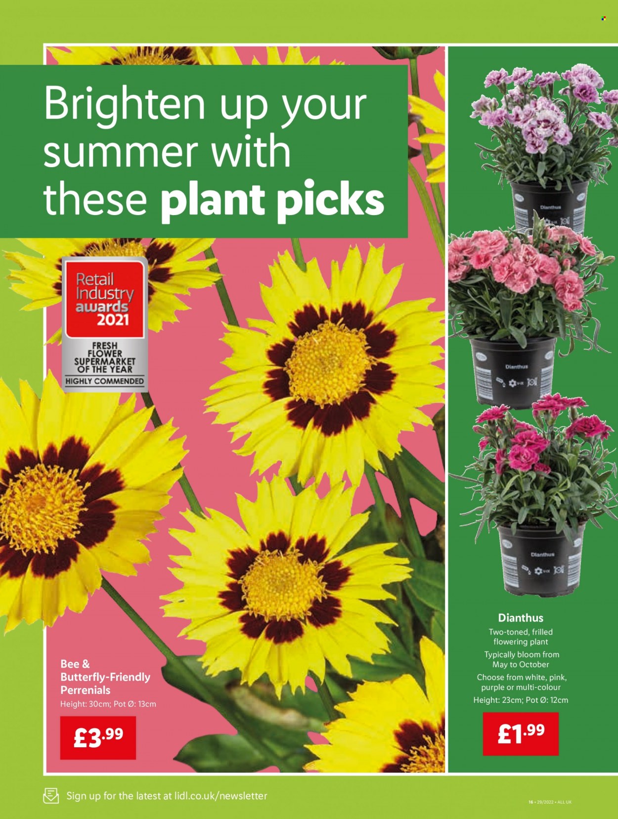Lidl offer - 21/07/2022 - 27/07/2022. Page 18