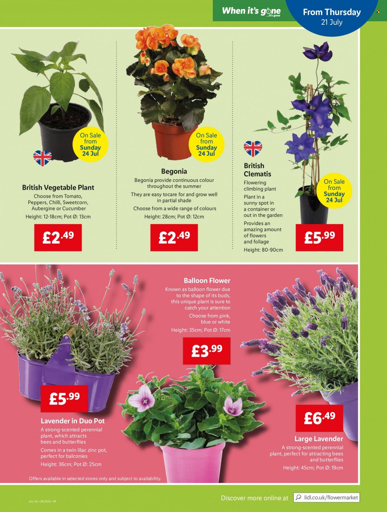 Lidl offer - 21/07/2022 - 27/07/2022. Page 19