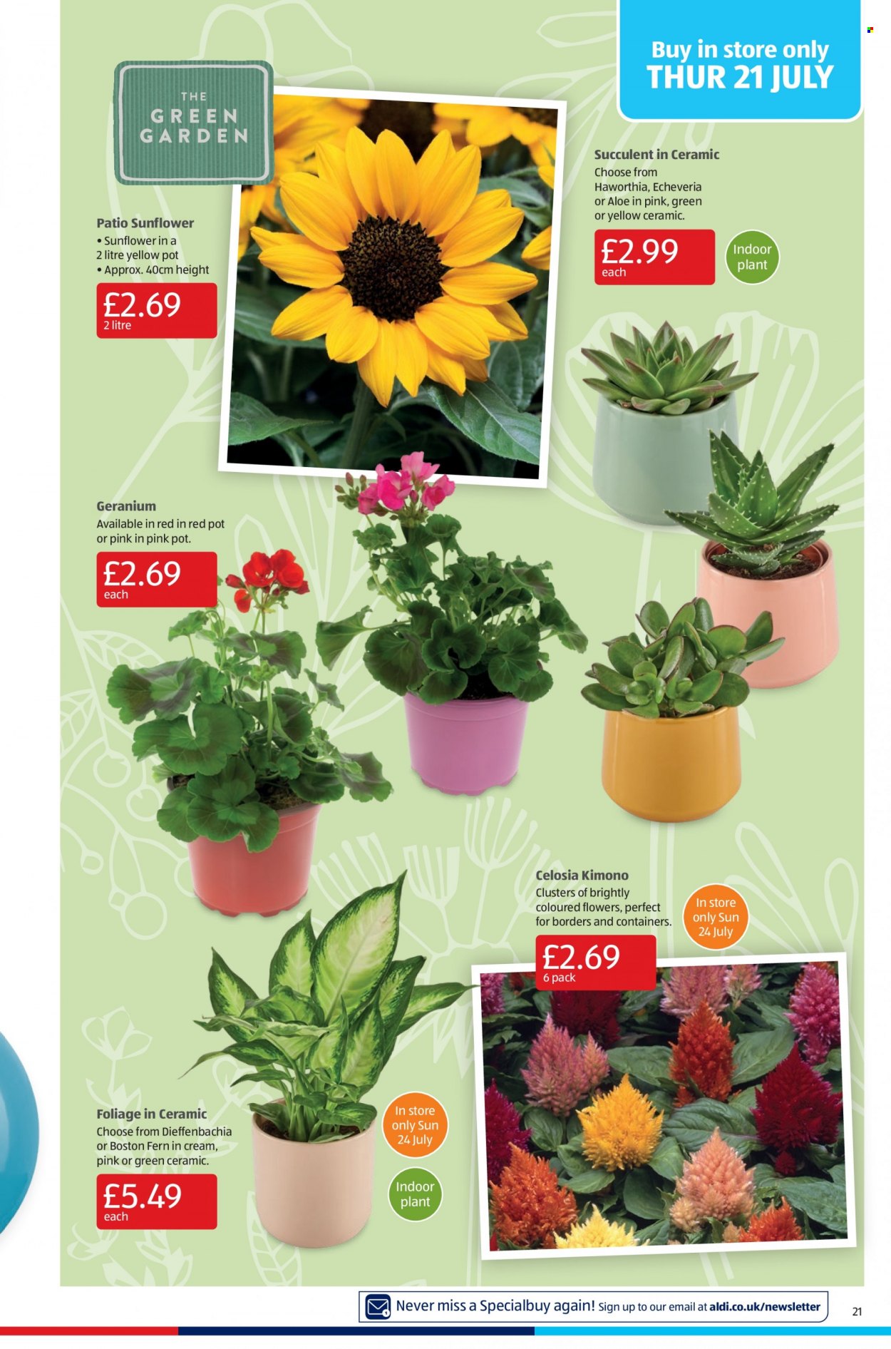 Aldi offer - 17/07/2022 - 24/07/2022. Page 21