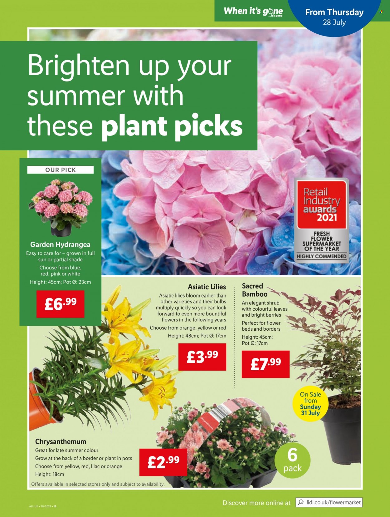 Lidl offer - 28/07/2022 - 03/08/2022. Page 19