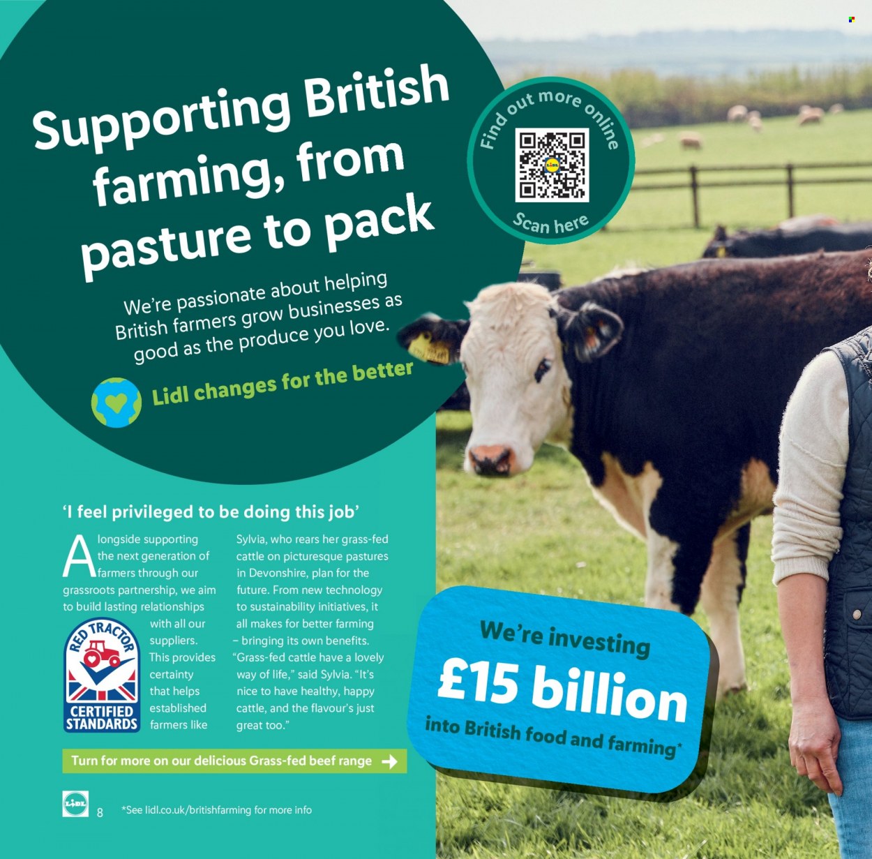 Lidl offer. Page 8