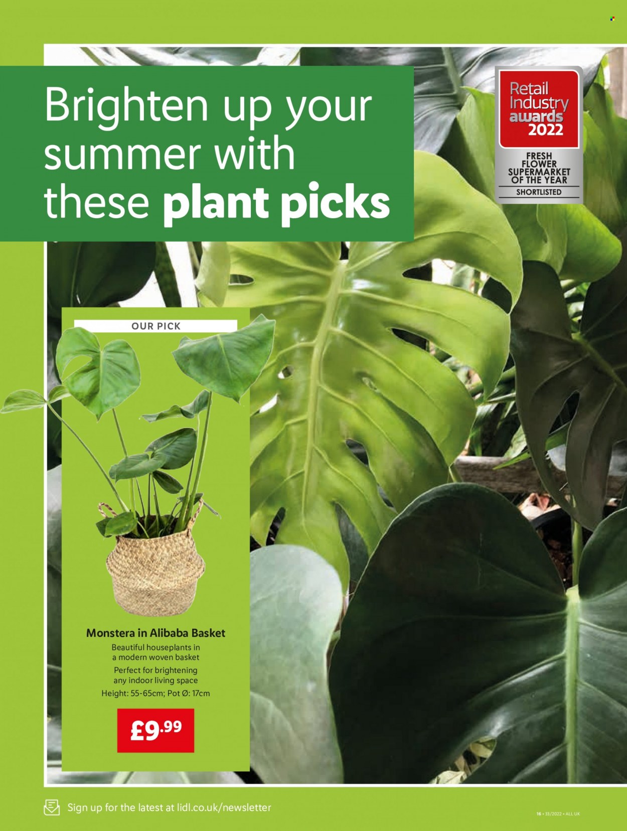 Lidl offer - 18/08/2022 - 24/08/2022. Page 16