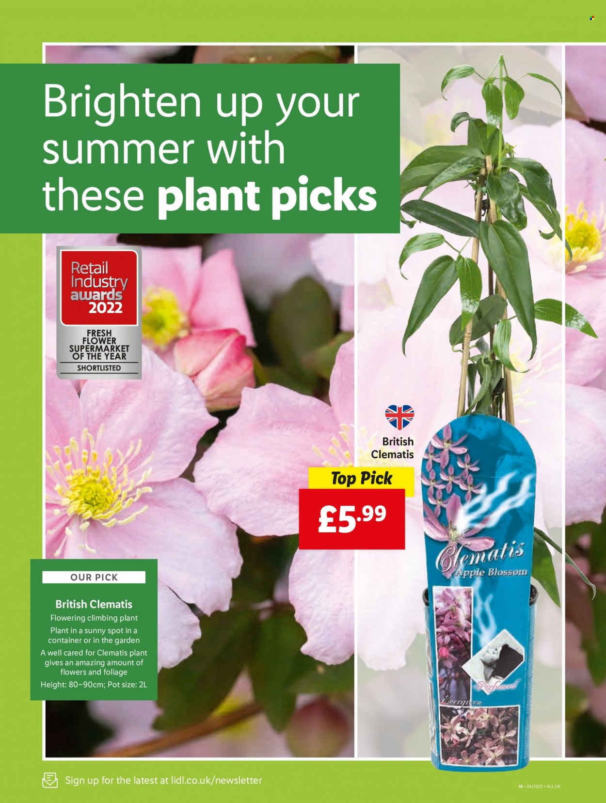 Lidl offer - 25/08/2022 - 31/08/2022. Page 18