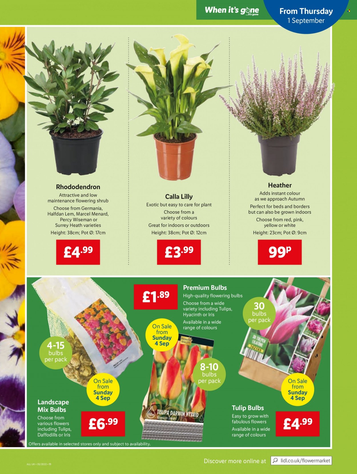 Lidl offer - 01/09/2022 - 07/09/2022. Page 7