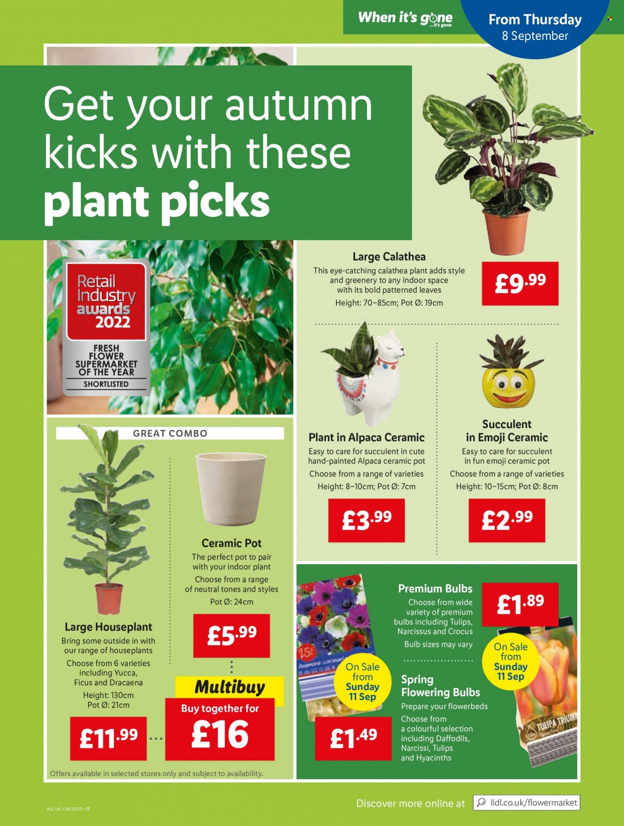 Lidl offer - 08/09/2022 - 14/09/2022. Page 17