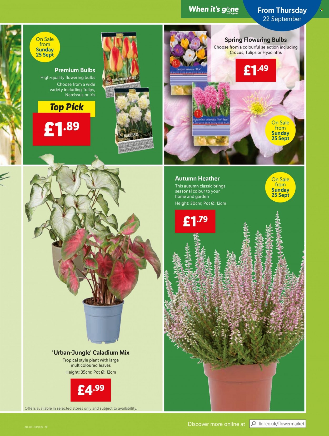 Lidl offer - 22/09/2022 - 28/09/2022. Page 15