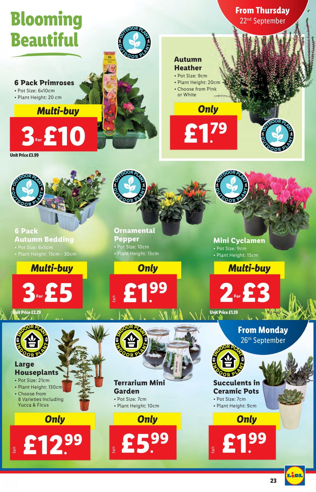 Lidl offer - 22/09/2022 - 28/09/2022. Page 23