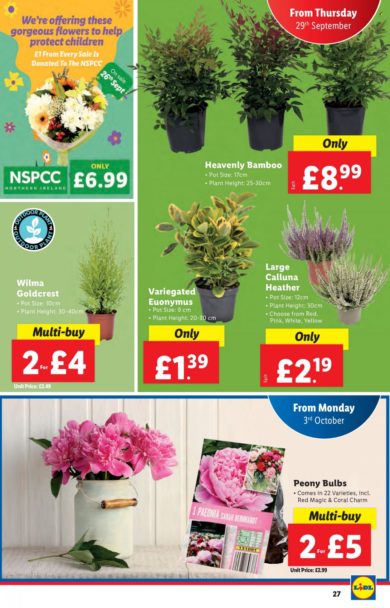 Lidl offer - 29/09/2022 - 05/10/2022. Page 27