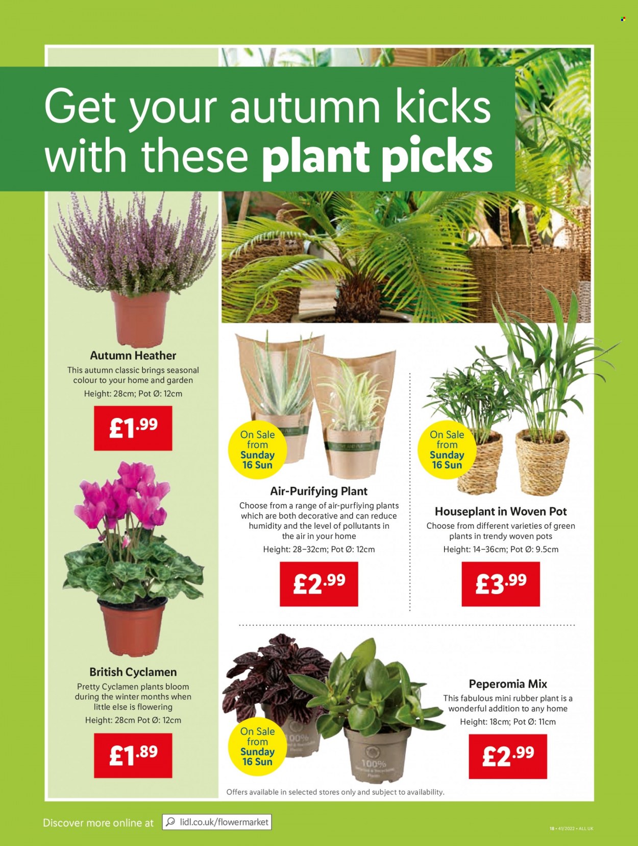 Lidl offer - 13/10/2022 - 19/10/2022. Page 14