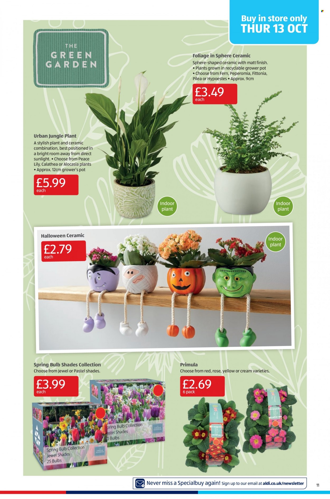 Aldi offer - 09/10/2022 - 16/10/2022. Page 11