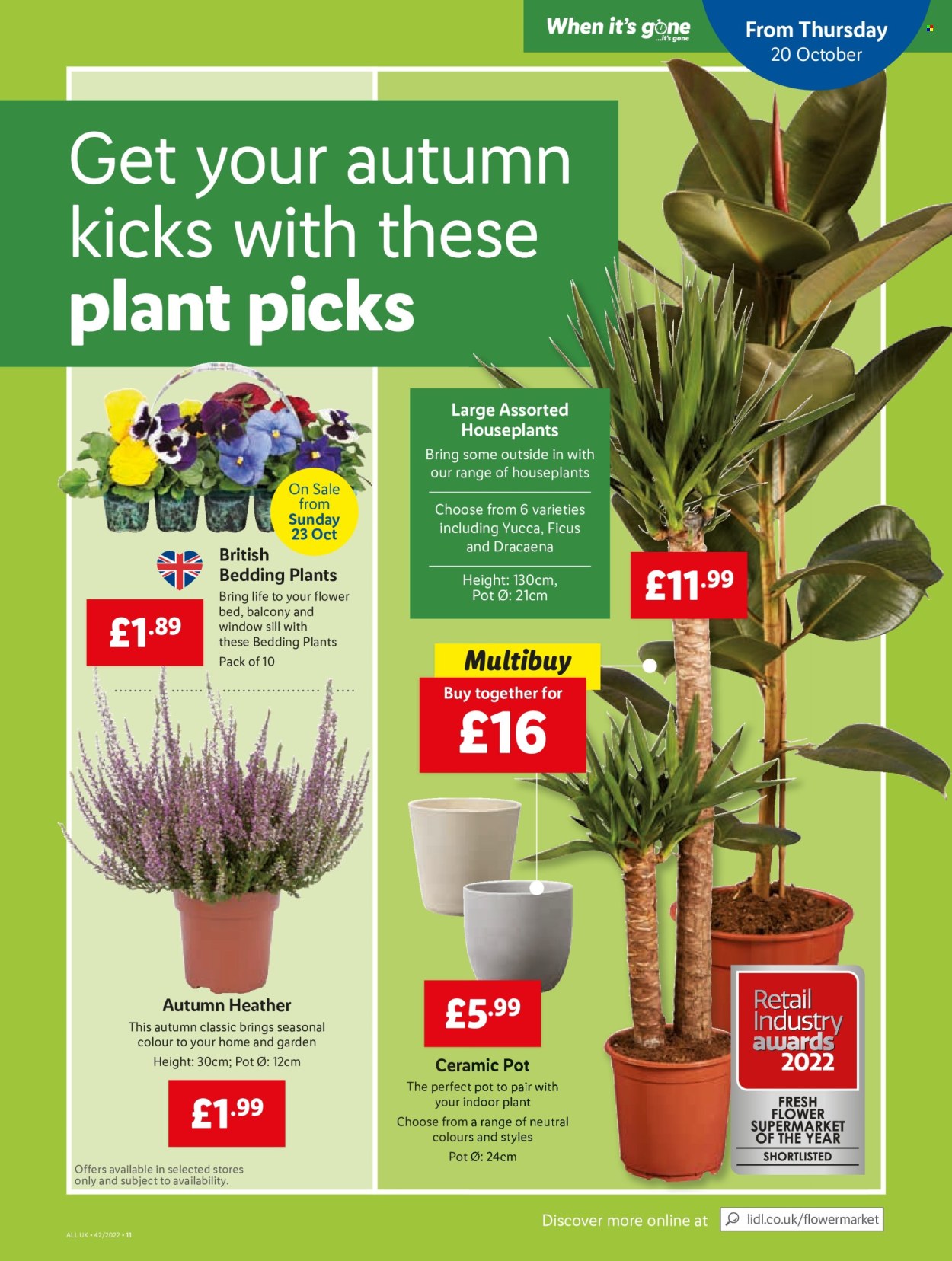 Lidl offer - 20/10/2022 - 26/10/2022. Page 9