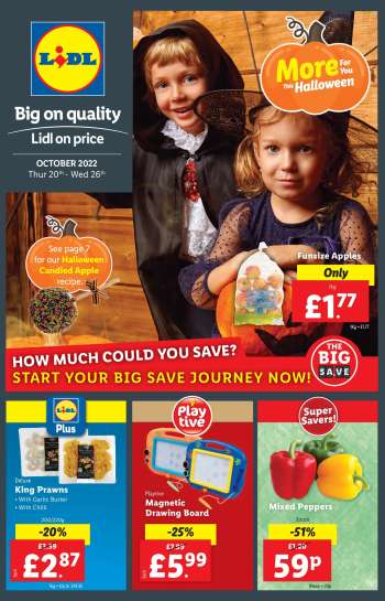 Lidl offer  - 20/10/2022 - 26/10/2022.