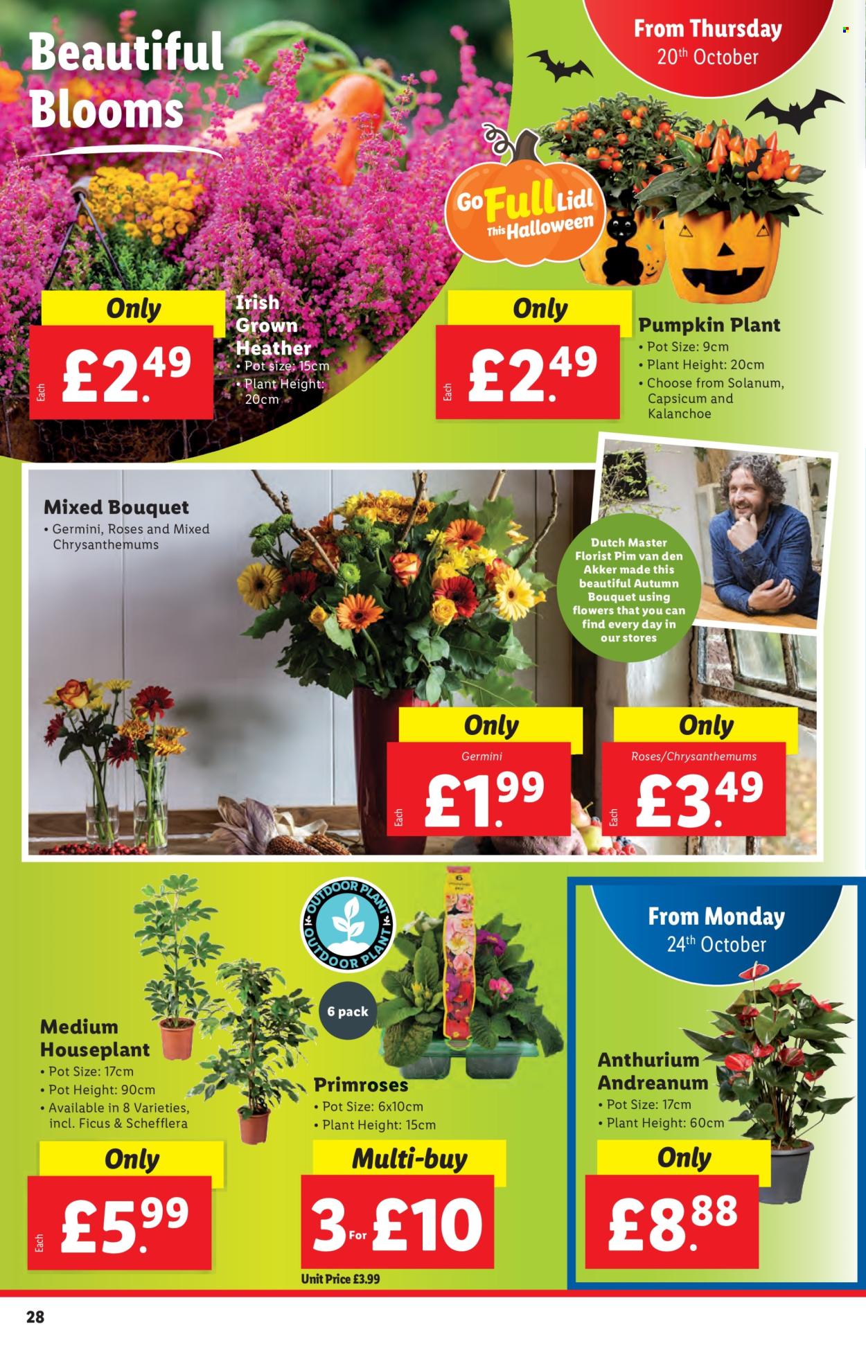 Lidl offer - 20/10/2022 - 26/10/2022. Page 28