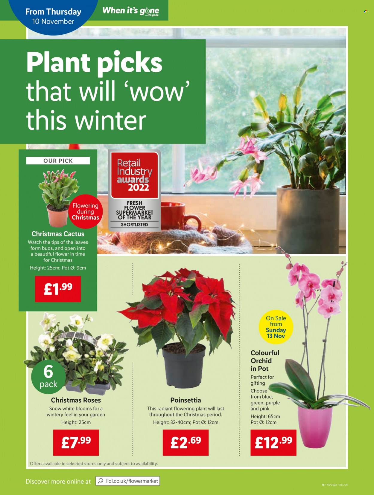 Lidl offer - 10/11/2022 - 16/11/2022. Page 18