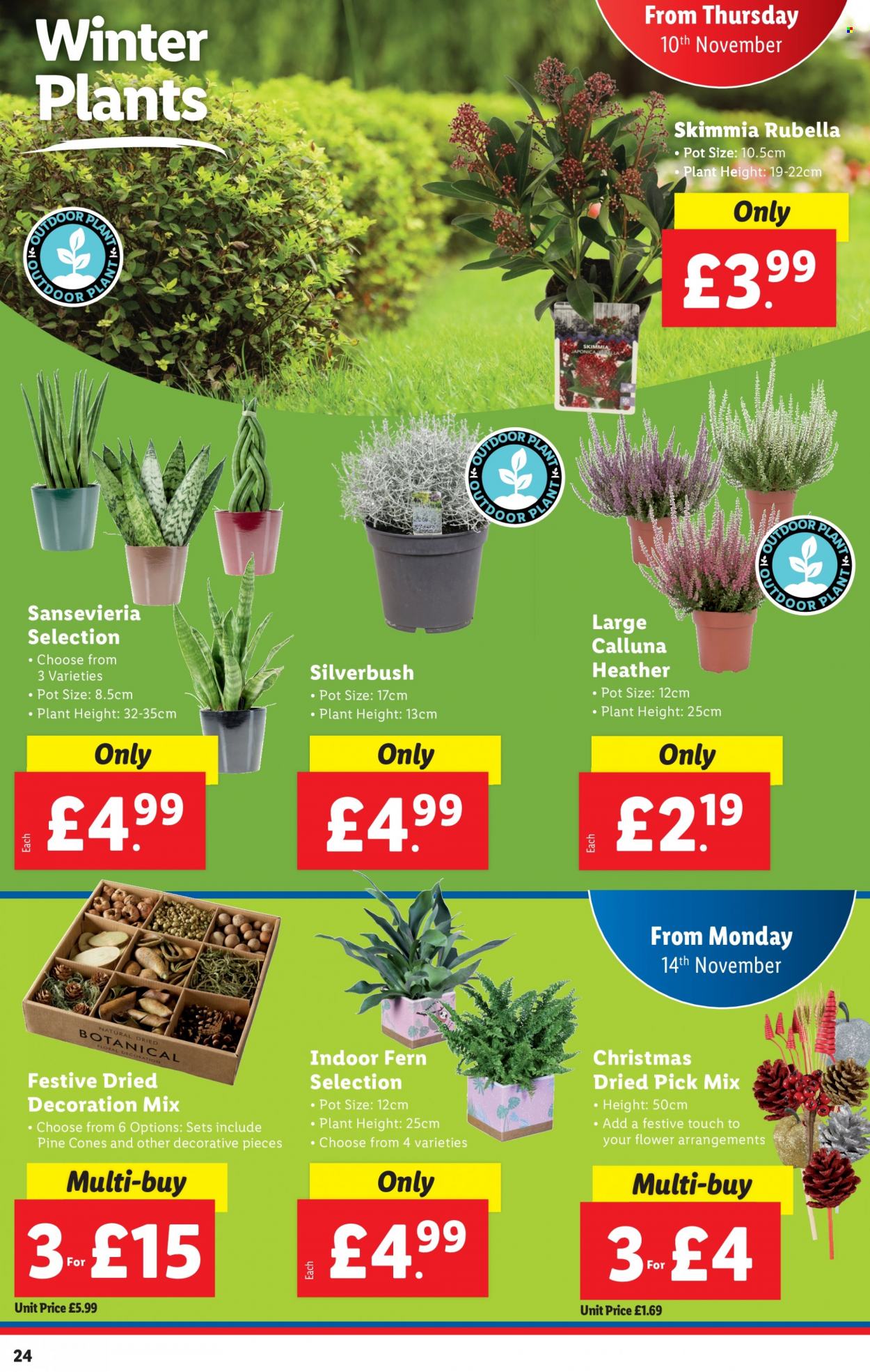 Lidl offer - 10/11/2022 - 16/11/2022. Page 24