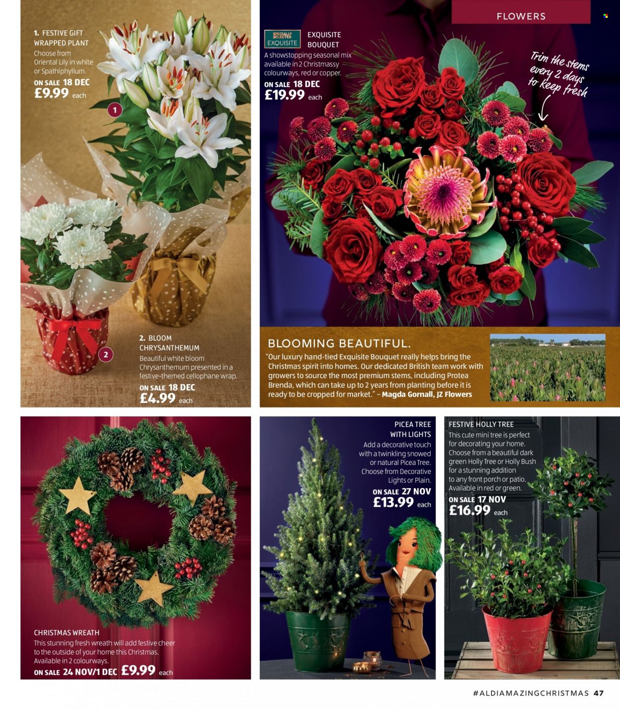 Aldi offer. Page 47