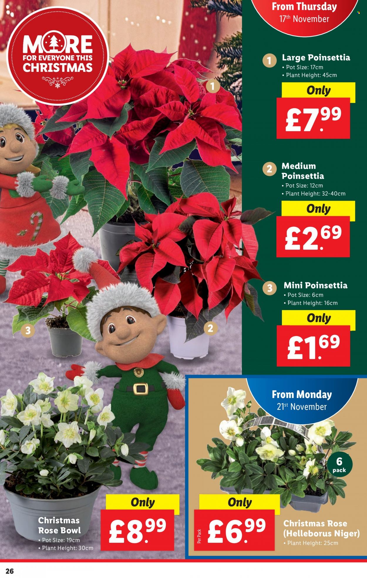 Lidl offer - 17/11/2022 - 23/11/2022. Page 26