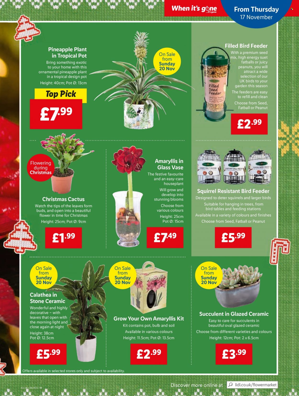 Lidl offer - 17/11/2022 - 23/11/2022. Page 19