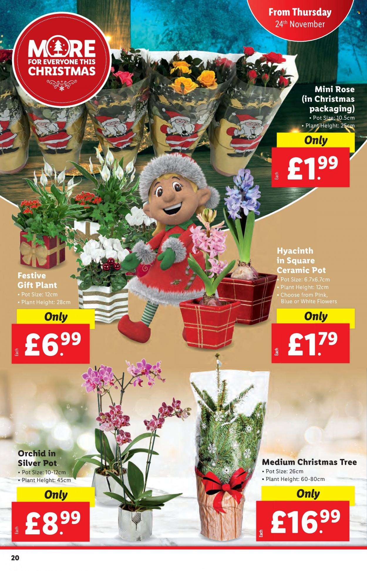 Lidl offer - 24/11/2022 - 30/11/2022. Page 20