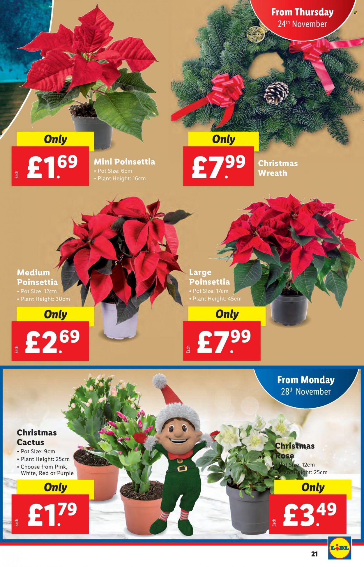 Lidl offer - 24/11/2022 - 30/11/2022. Page 21