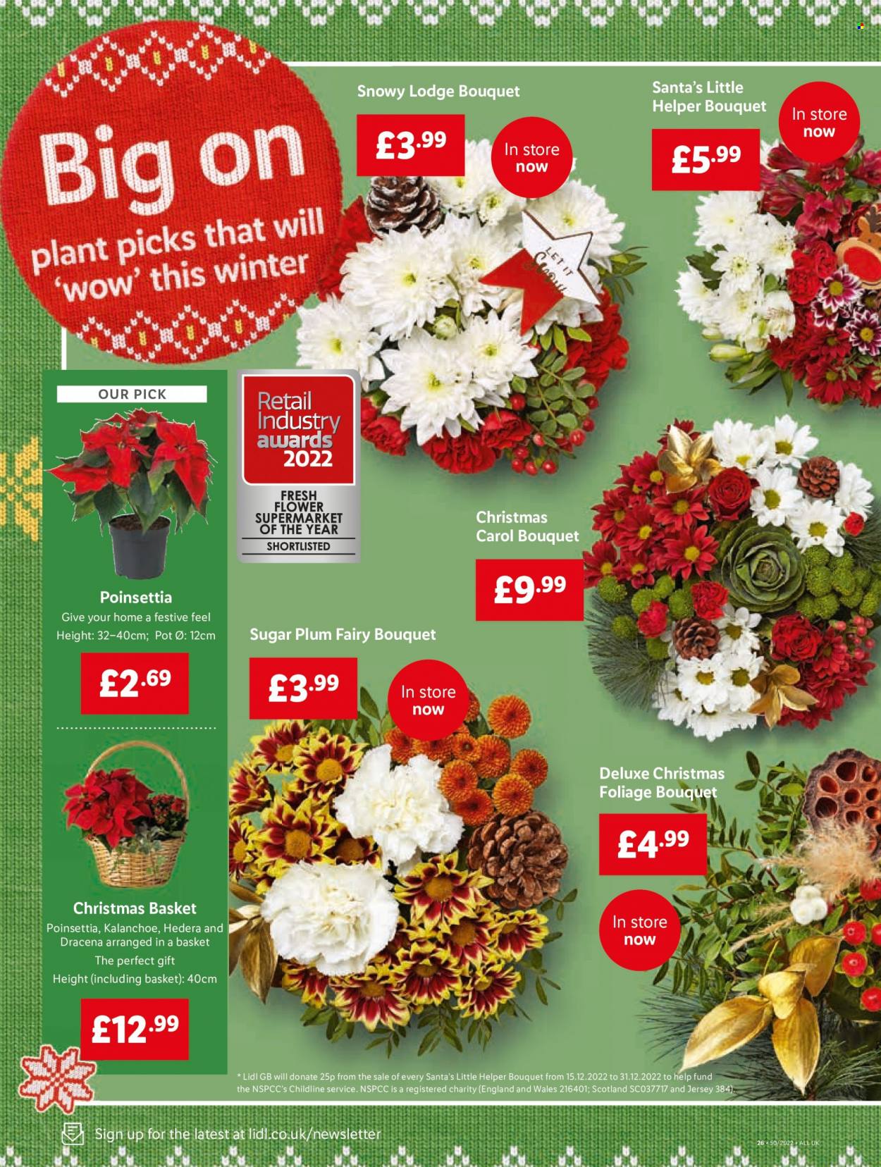 Lidl offer - 15/12/2022 - 21/12/2022. Page 26