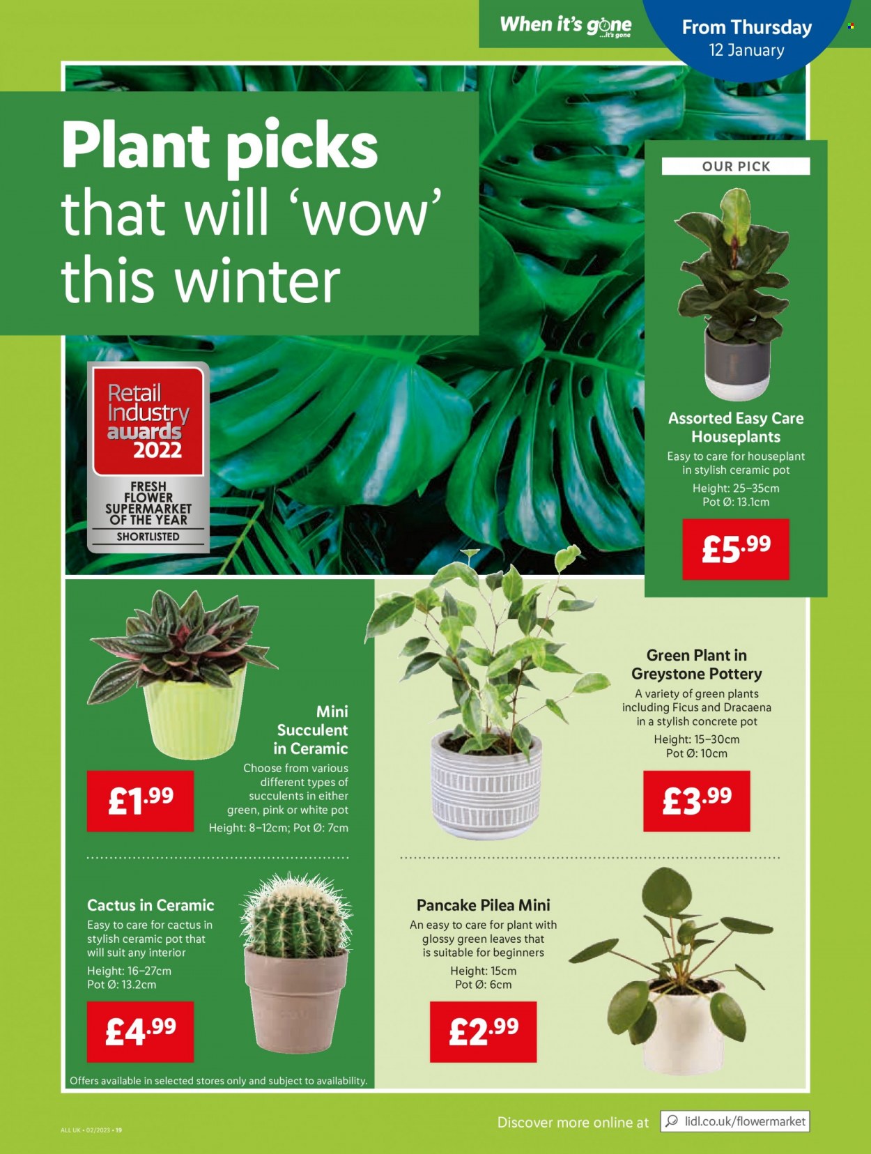 Lidl offer - 12/01/2023 - 18/01/2023. Page 17
