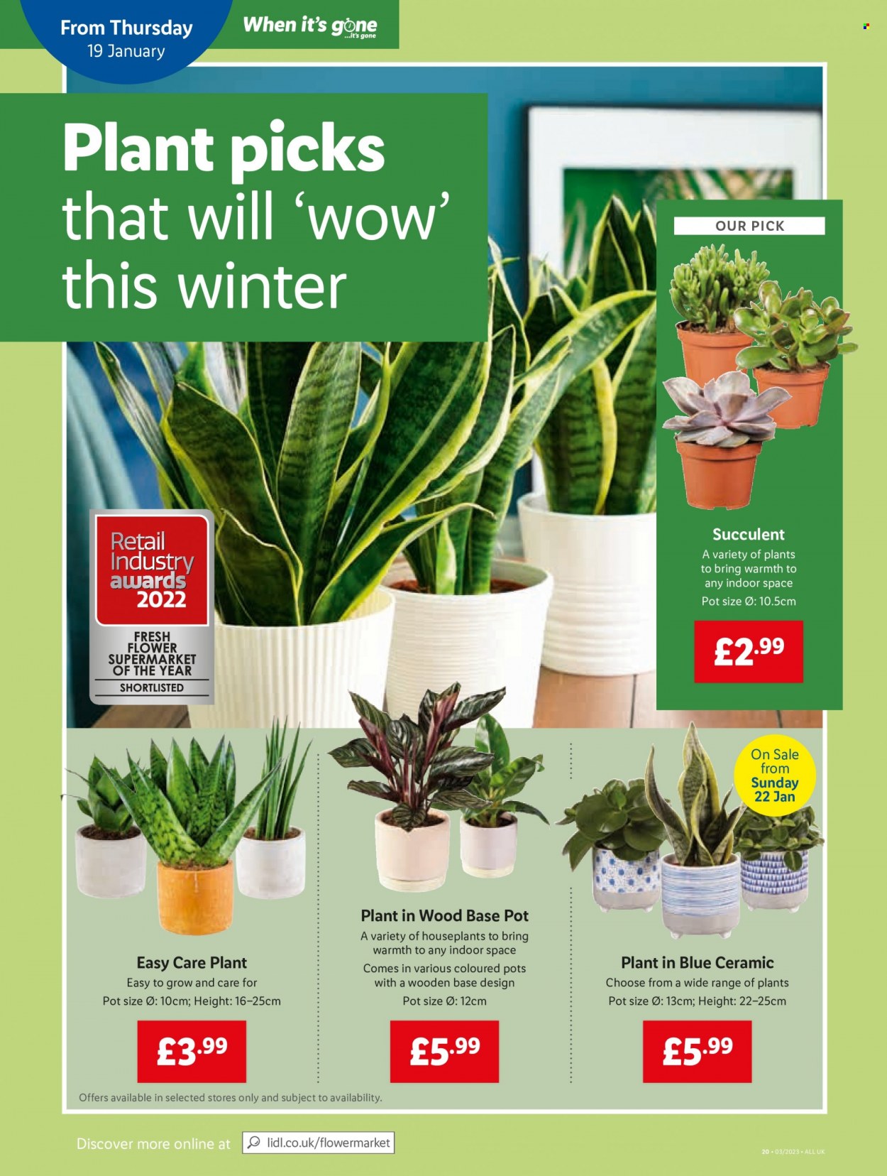 Lidl offer - 19/01/2023 - 25/01/2023. Page 20