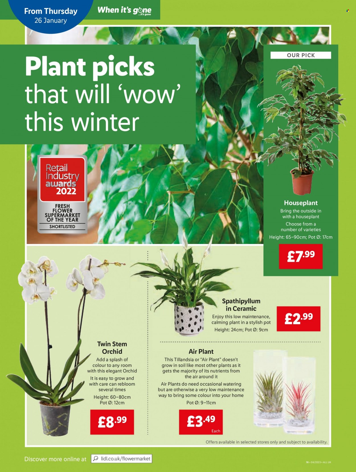 Lidl offer - 26/01/2023 - 01/02/2023. Page 16