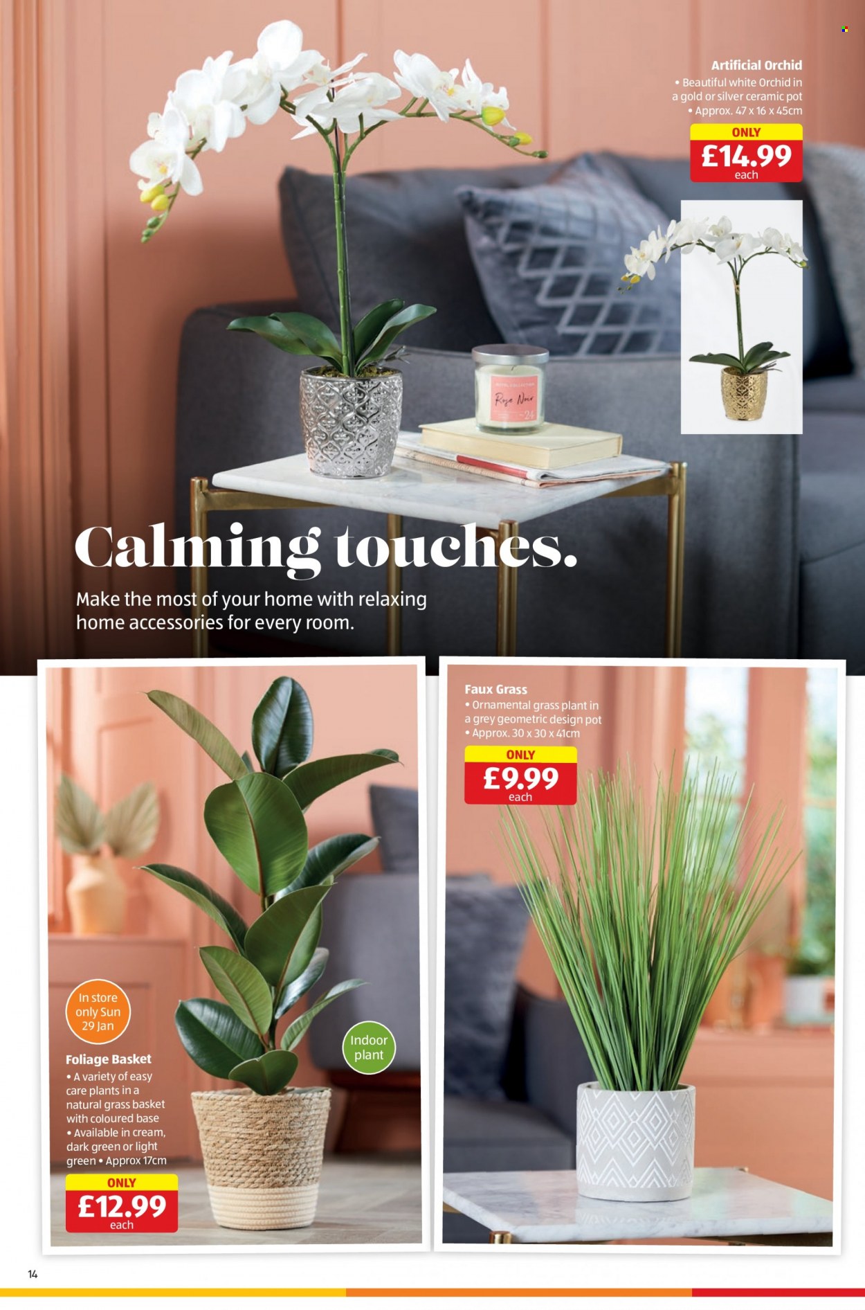 Aldi offer - 22/01/2023 - 29/01/2023. Page 14