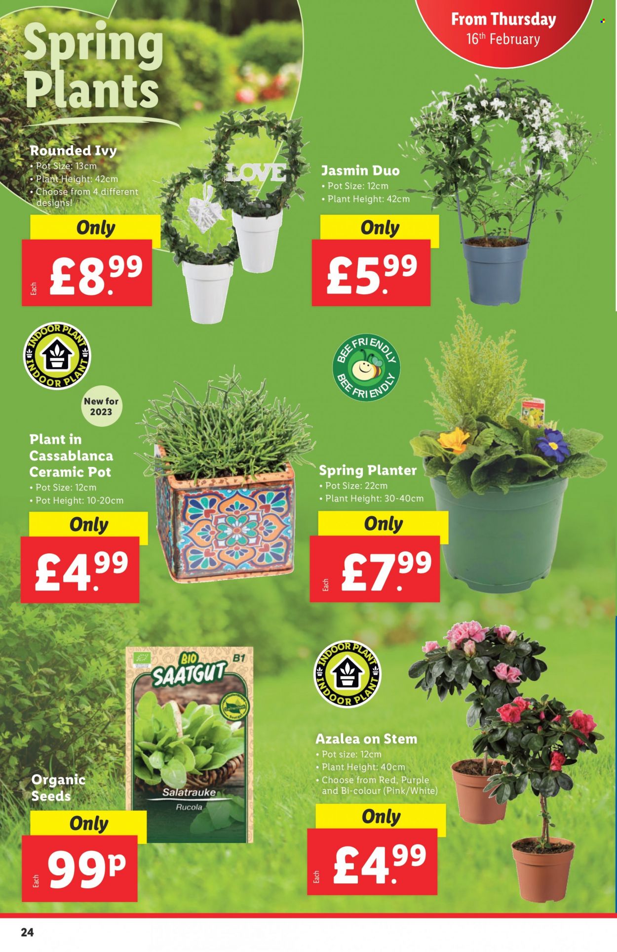 Lidl offer - 16/02/2023 - 22/02/2023. Page 24