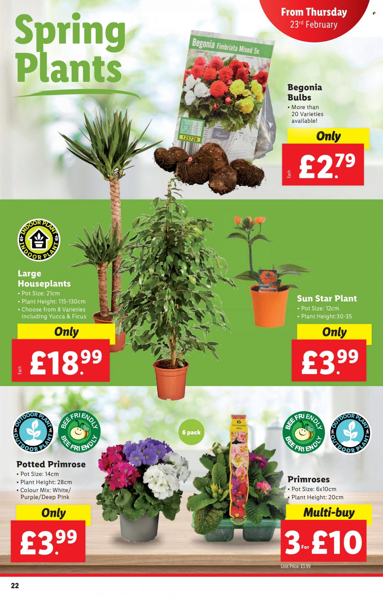 Lidl offer - 23/02/2023 - 01/03/2023. Page 22