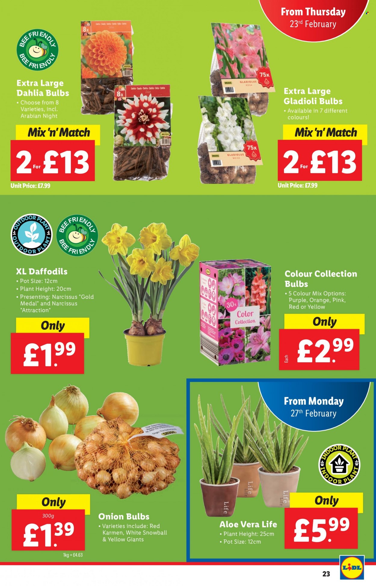 Lidl offer - 23/02/2023 - 01/03/2023. Page 23