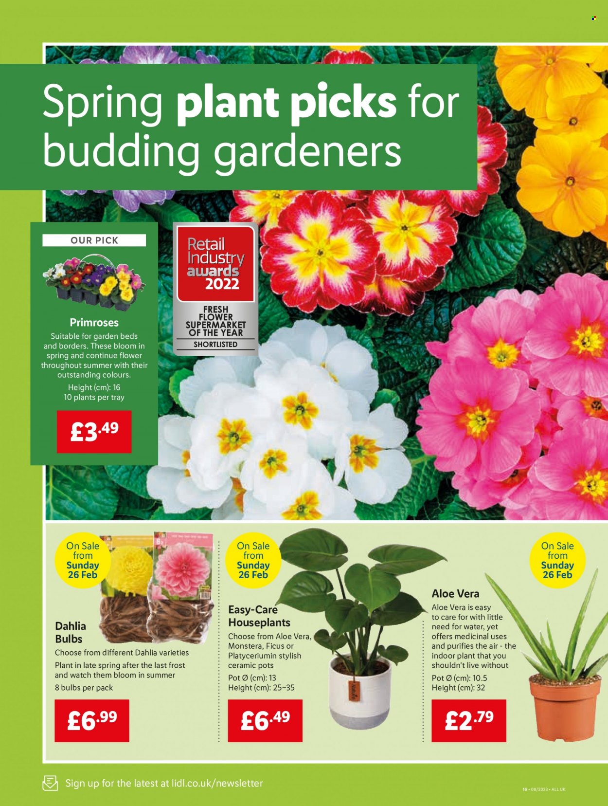Lidl offer - 23/02/2023 - 01/03/2023. Page 12