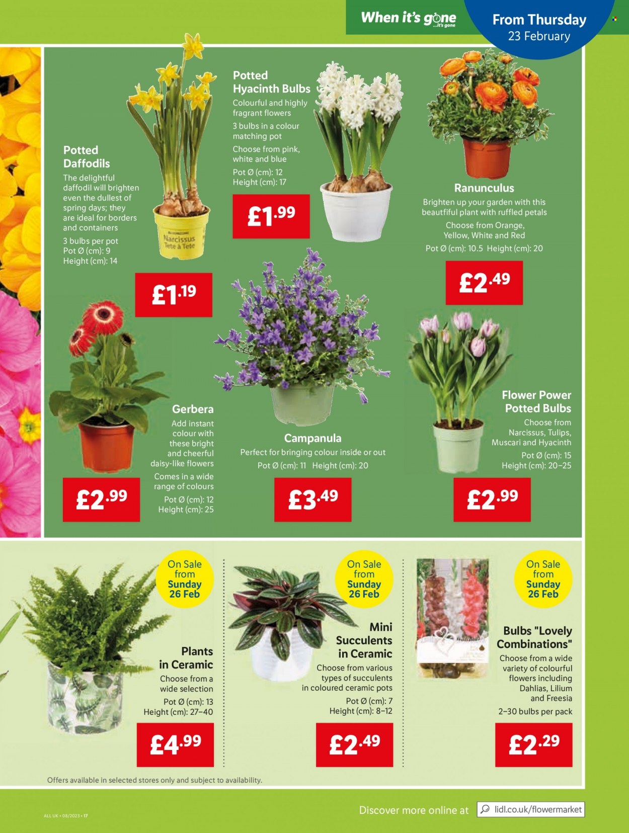 Lidl offer - 23/02/2023 - 01/03/2023. Page 13