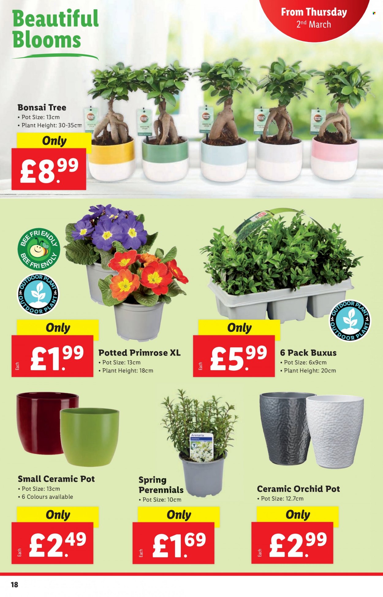 Lidl offer - 02/03/2023 - 08/03/2023. Page 18