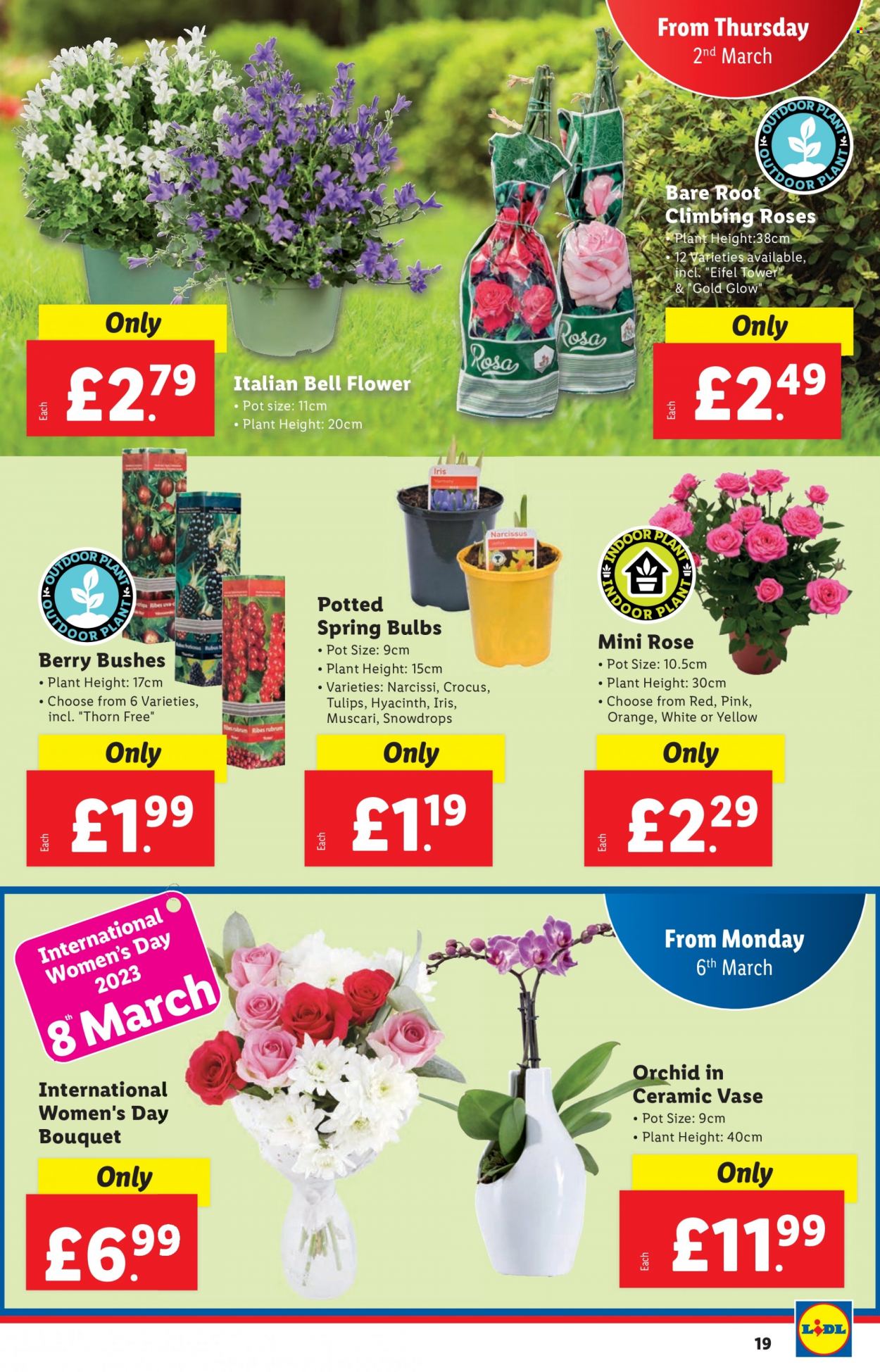 Lidl offer - 02/03/2023 - 08/03/2023. Page 19