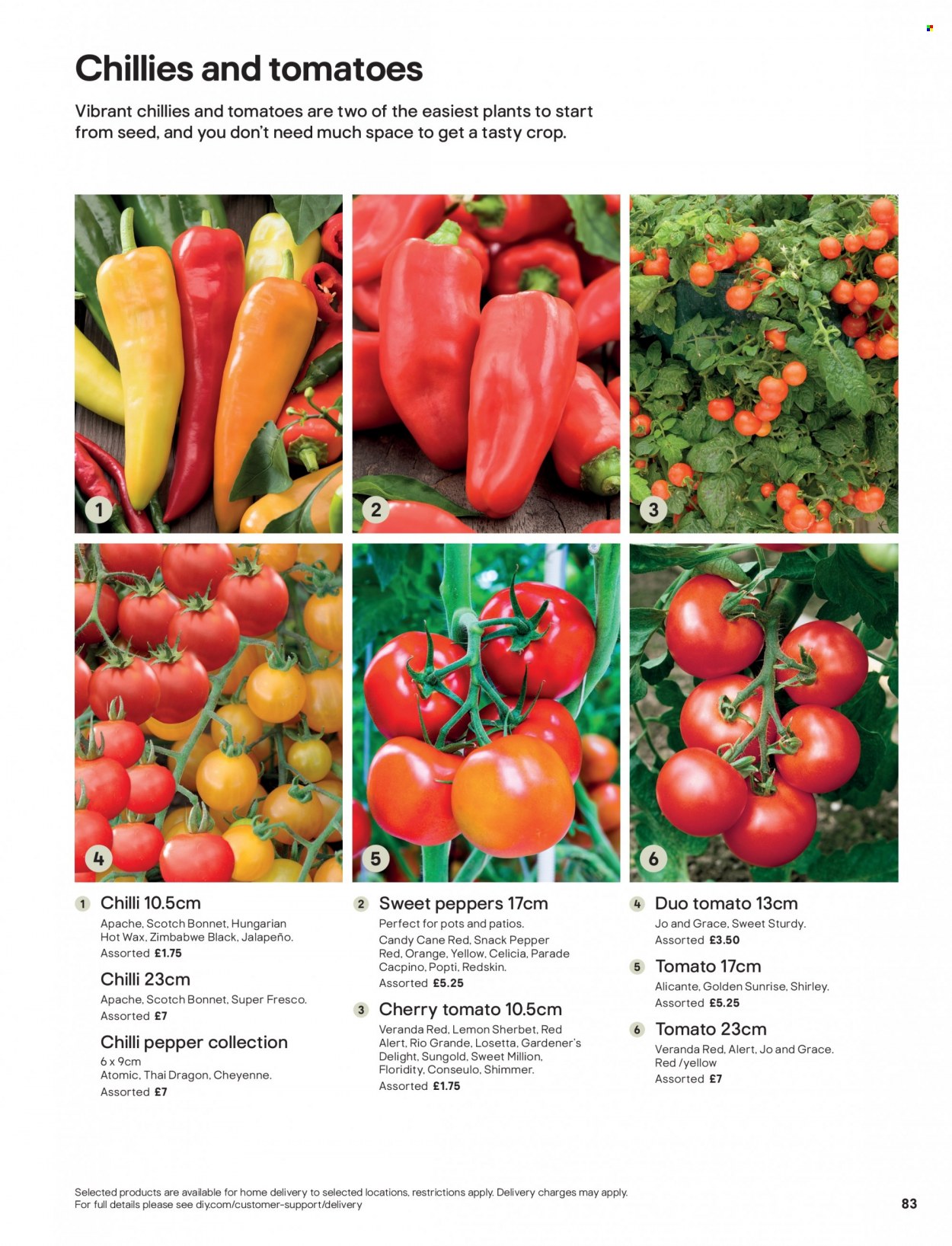 B&Q offer. Page 83