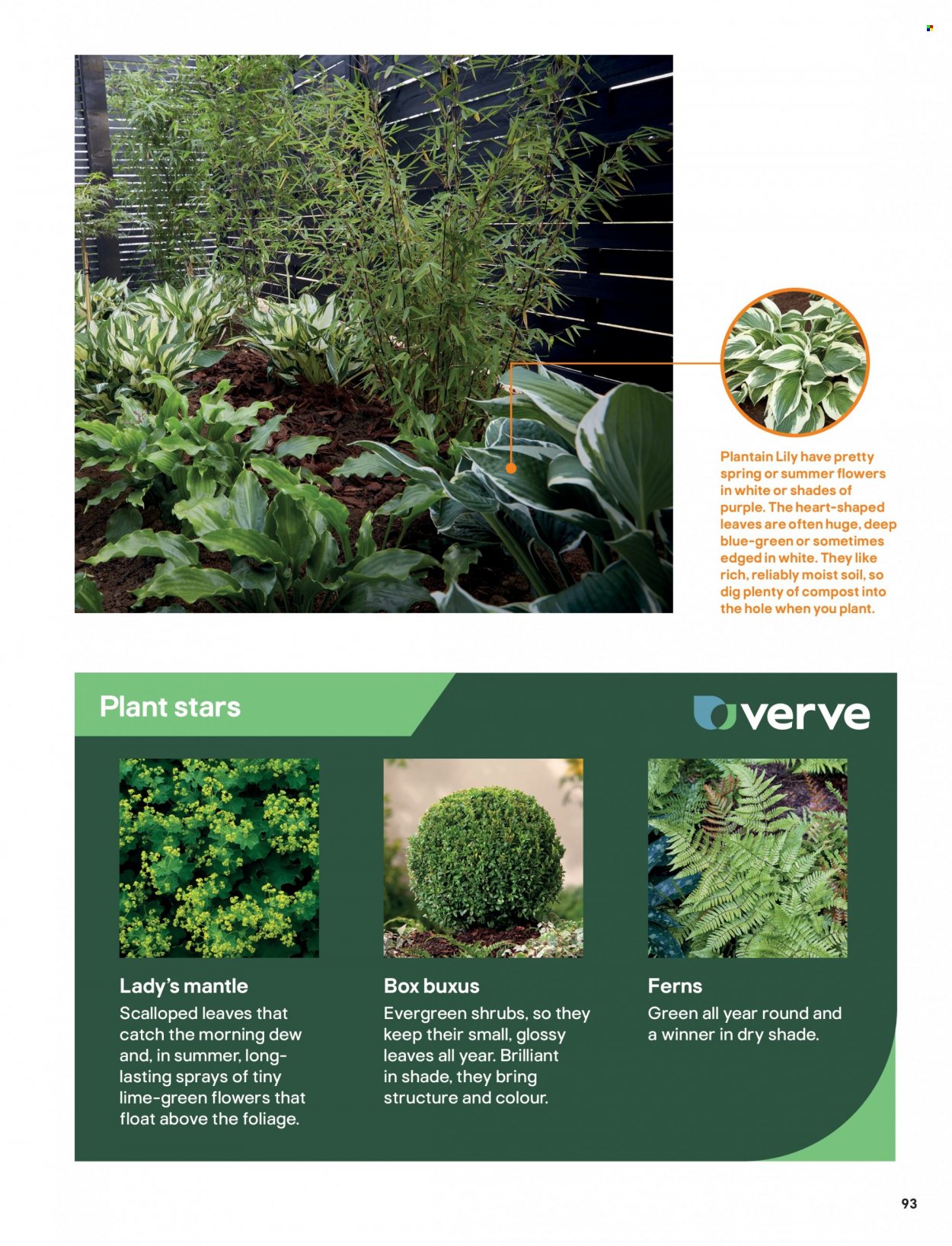 B&Q offer. Page 93