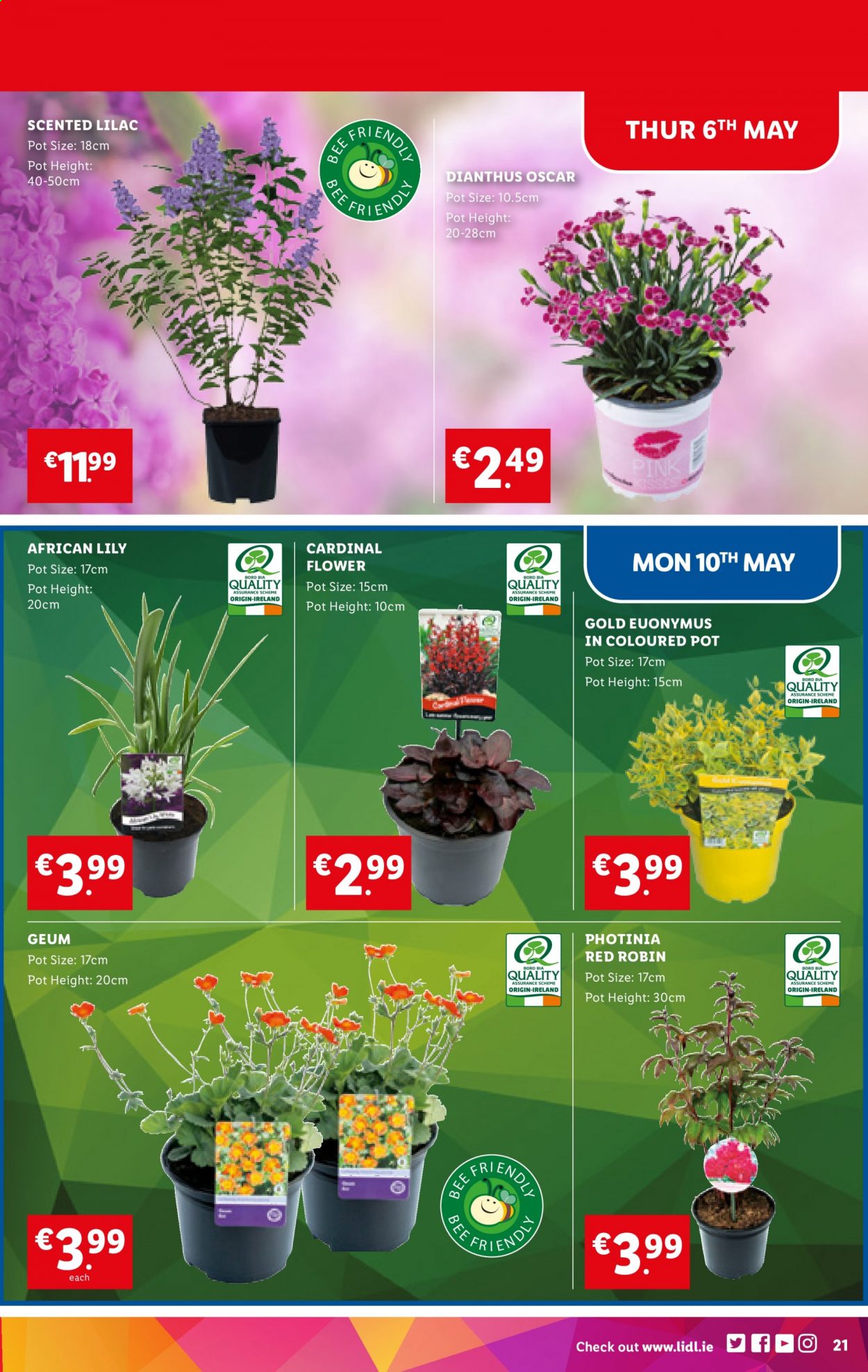 Lidl offer - 06.05.2021 - 12.05.2021. Page 21