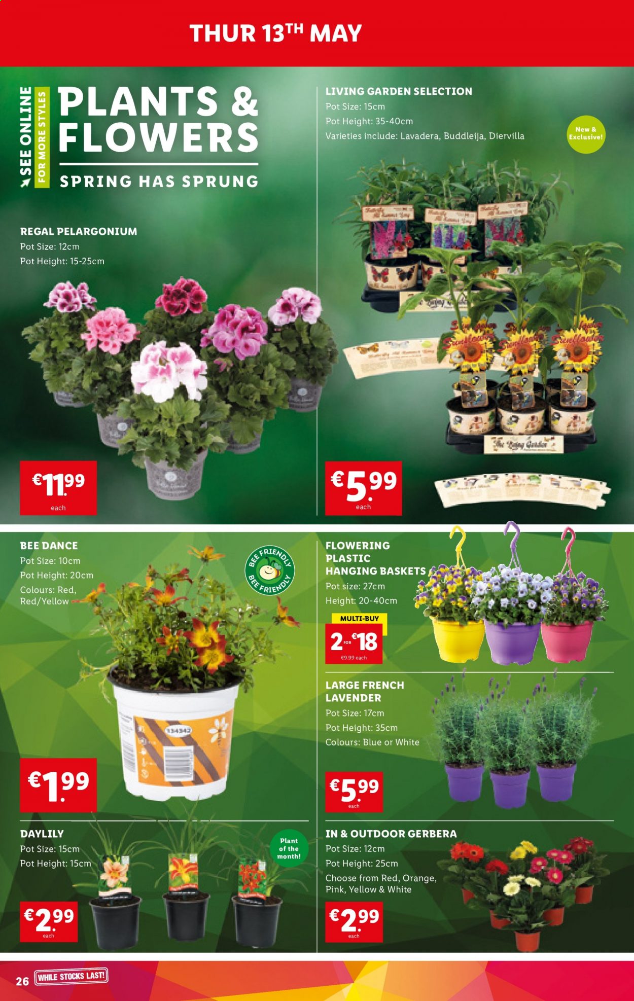 Lidl offer - 13.05.2021 - 19.05.2021. Page 26