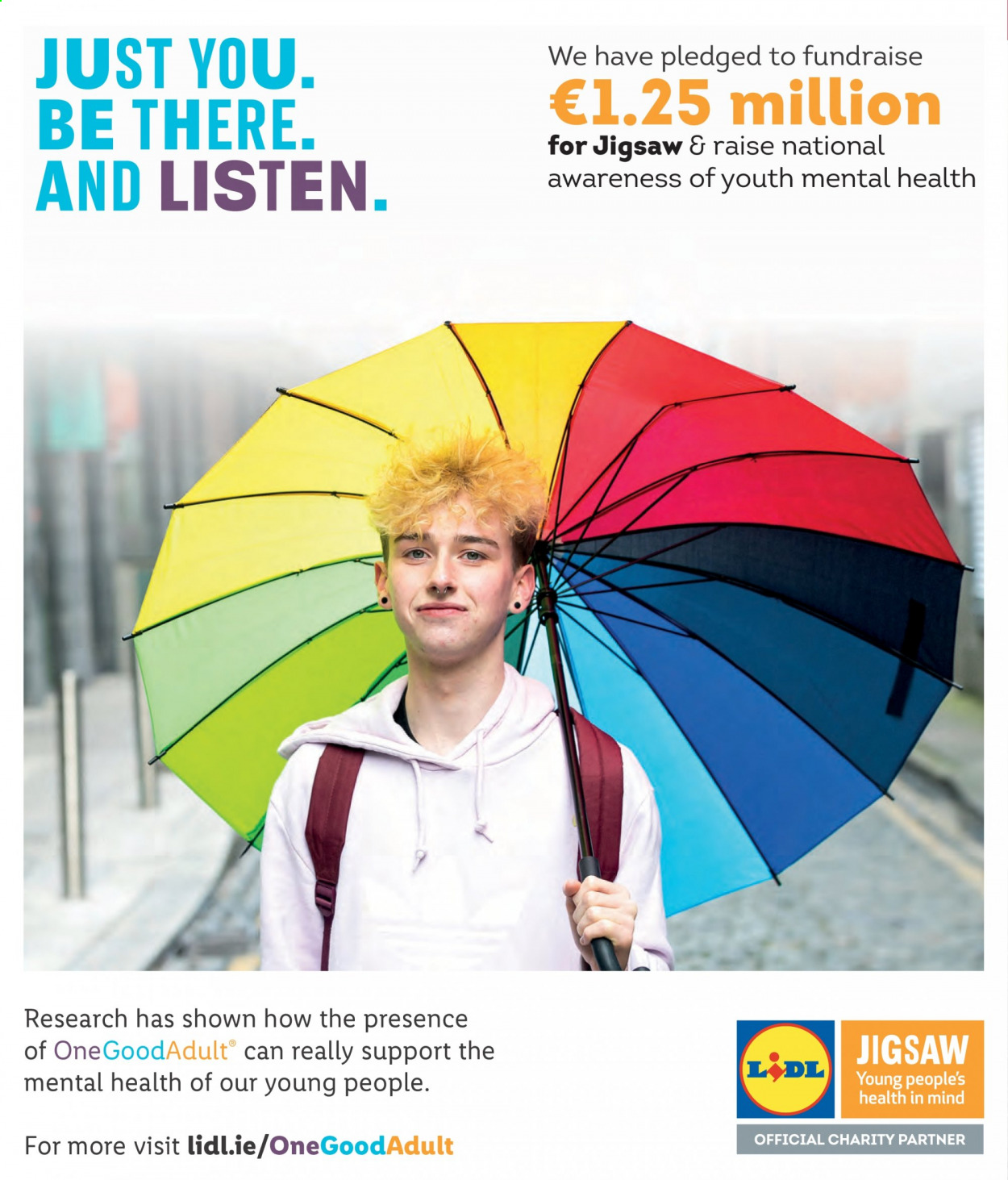Lidl offer. Page 24
