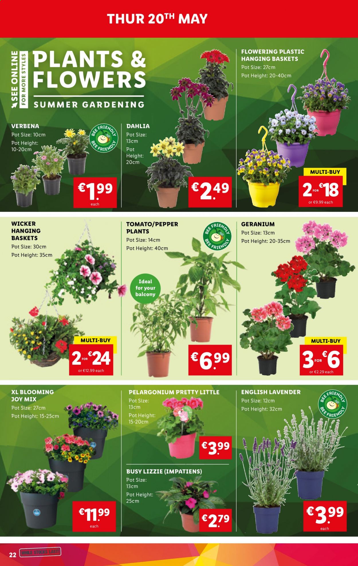 Lidl offer - 20.05.2021 - 26.05.2021. Page 22