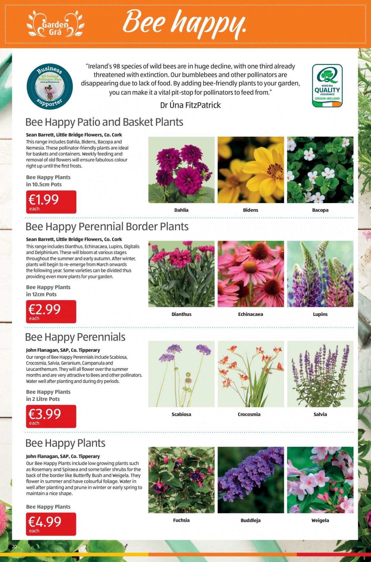 Aldi offer - 03.06.2021 - 09.06.2021. Page 20